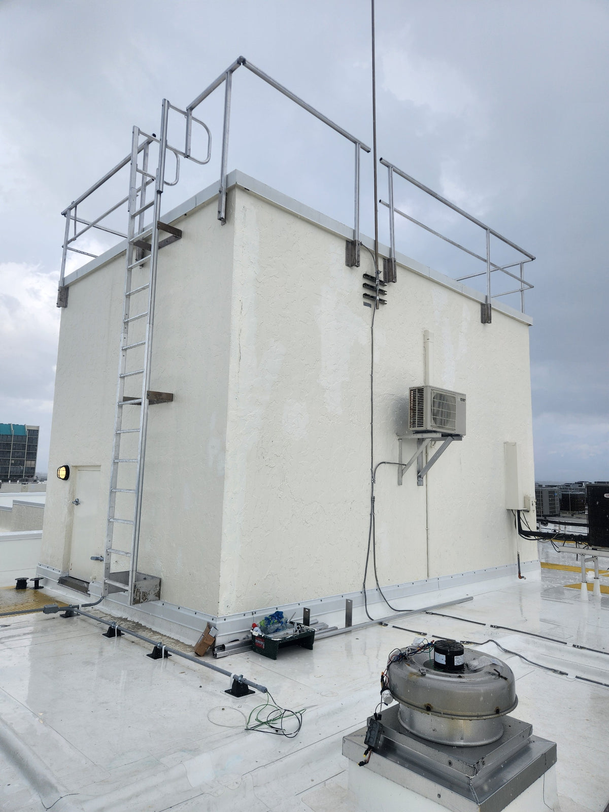 Vertical Fixed Ladder w/ Grab Rails - RL31 Model - Kattsafe ...