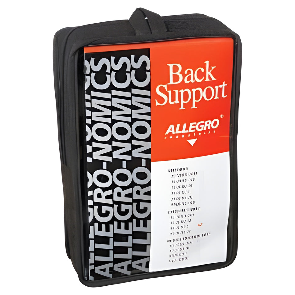 Economy Back Support Belt Large- Pack of 10 – 7176-03 – Allegro